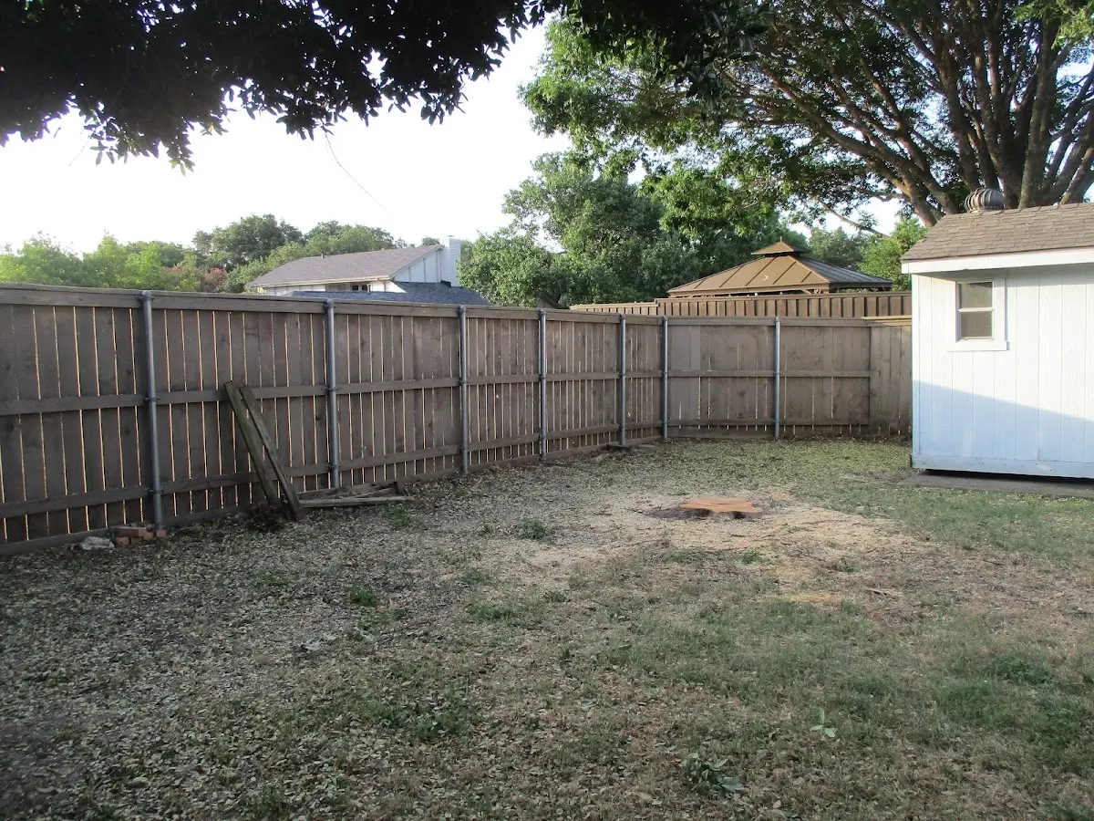 Cleared yard after professional tree removal in Cartwright